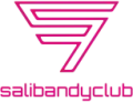 Salibandy Club Ostrava