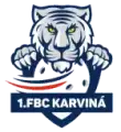 1. FBC Karviná žlutí