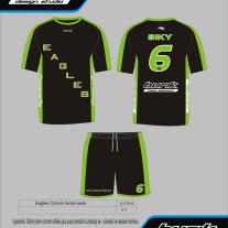 Kompletní hráčský dres černo-zelený (subli)